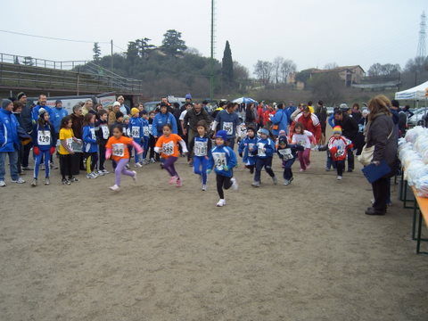 La partenza dei pulcini...