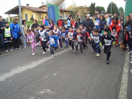 Una spettacolare partenza dei pulcini...