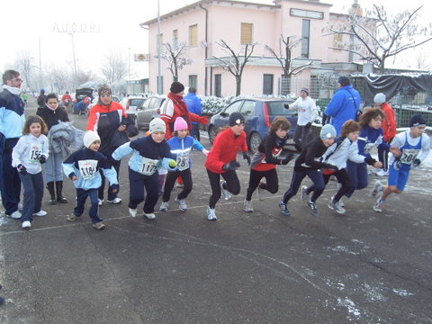 Sono i pulcini a....rompere il ghiaccio...