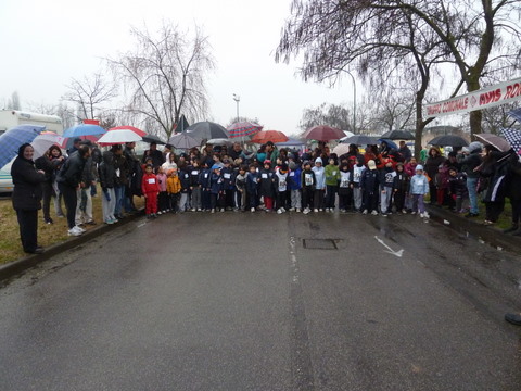 Moltissimi i pulcini.....al via!!