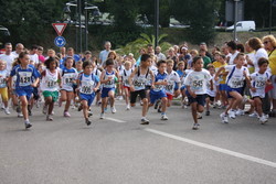 La partenza dei......Pulcini...