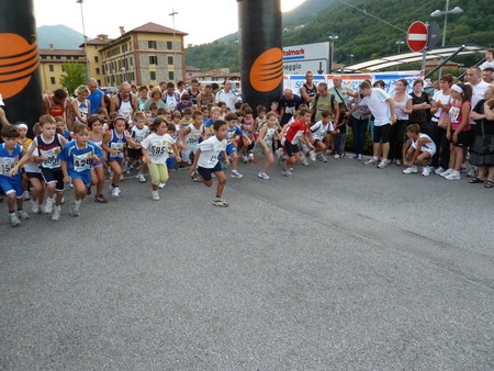 La partenza dei pulcini.....